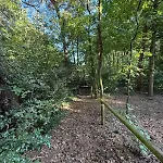 Waldhaus Am Mit Wasserzugang Semesterbostad Neustadt am Rübenberge