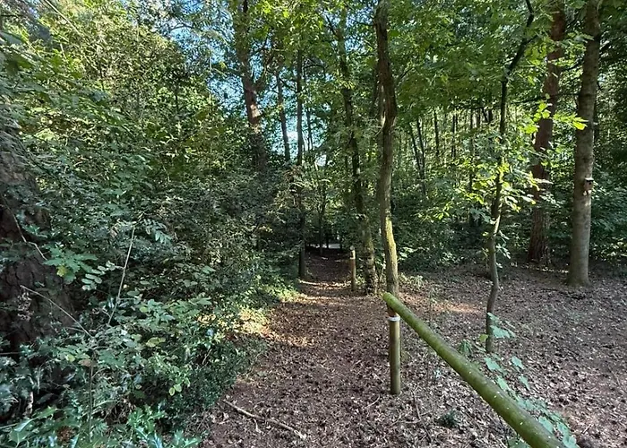 Waldhaus Am Mit Wasserzugang Σπίτι διακοπών Neustadt am Rübenberge