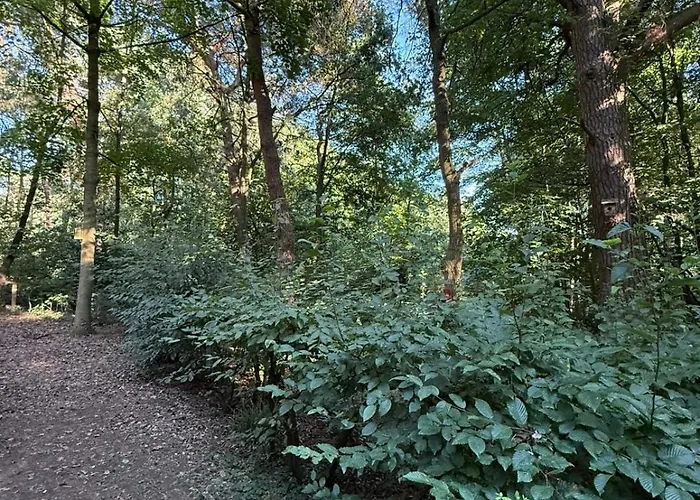 Waldhaus Am Mit Wasserzugang بيت للعطل *