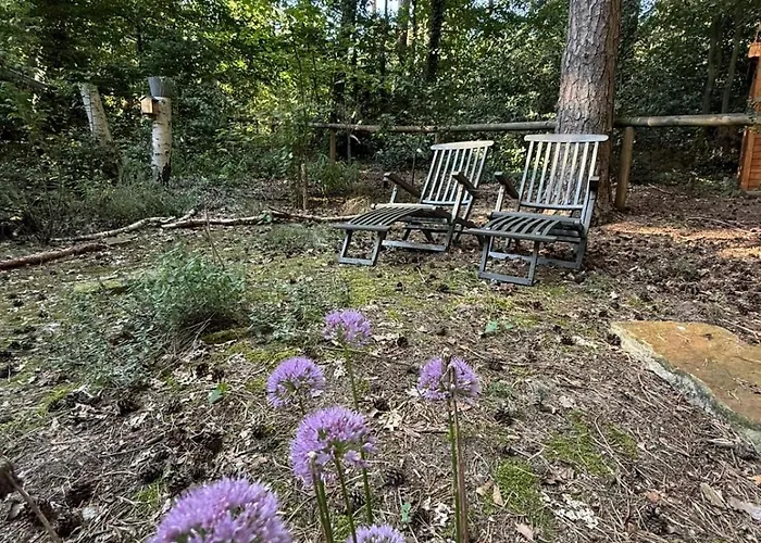 Waldhaus Am Mit Wasserzugang *